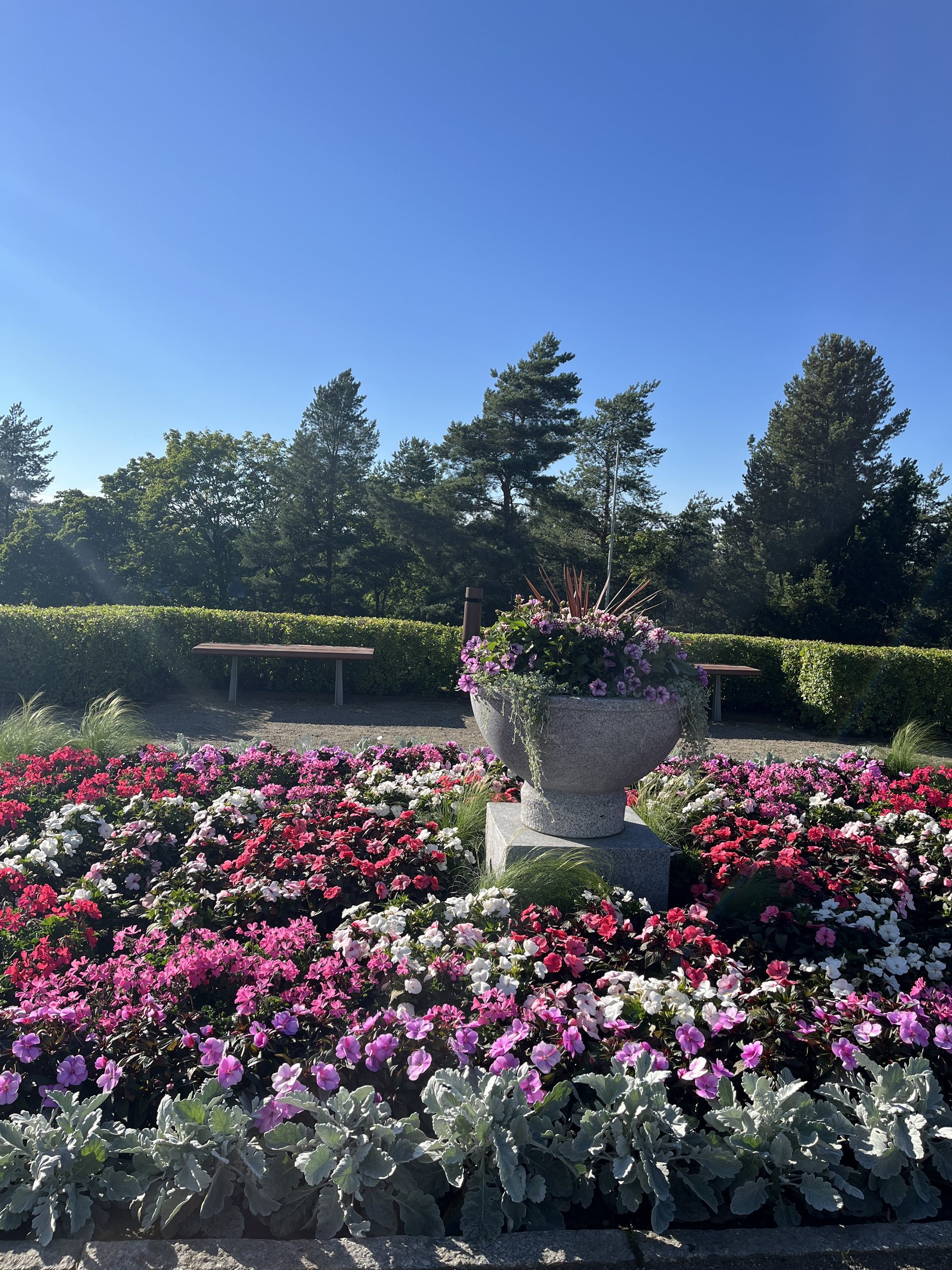 Flowers in the gardens at Naisvuori